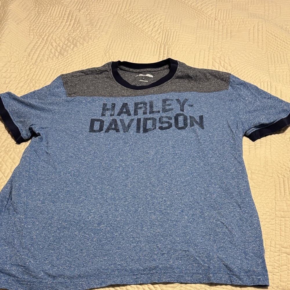 Harley-Davidson Men's Blue and Gray Tee